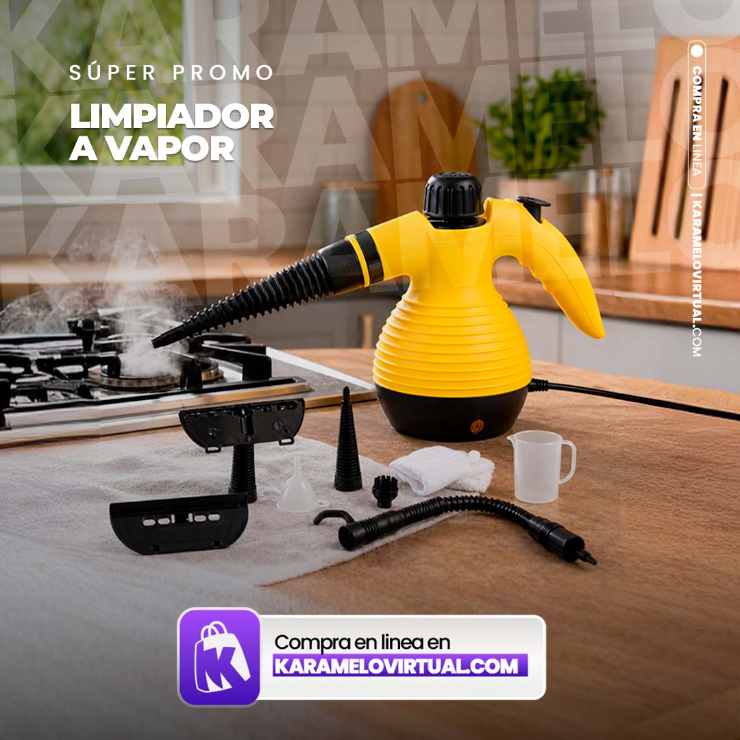 LIMPIADOR A VAPOR